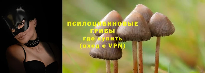 Галлюциногенные грибы MAGIC MUSHROOMS  где купить наркоту  hydra как зайти  Джанкой 